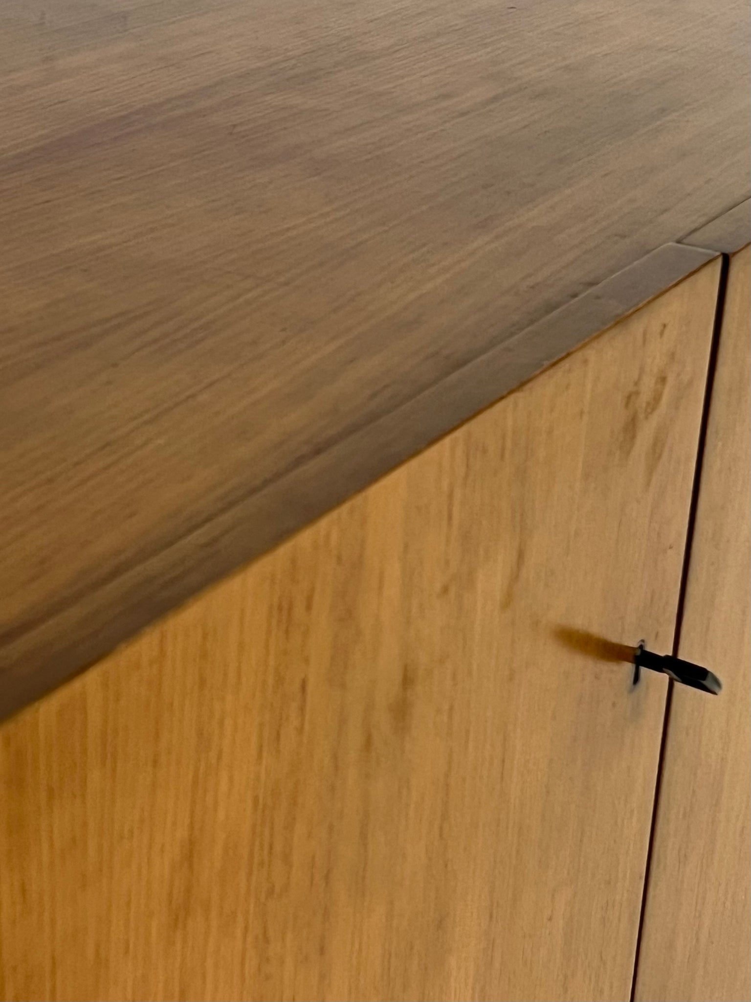 Vintage Musterring sideboard