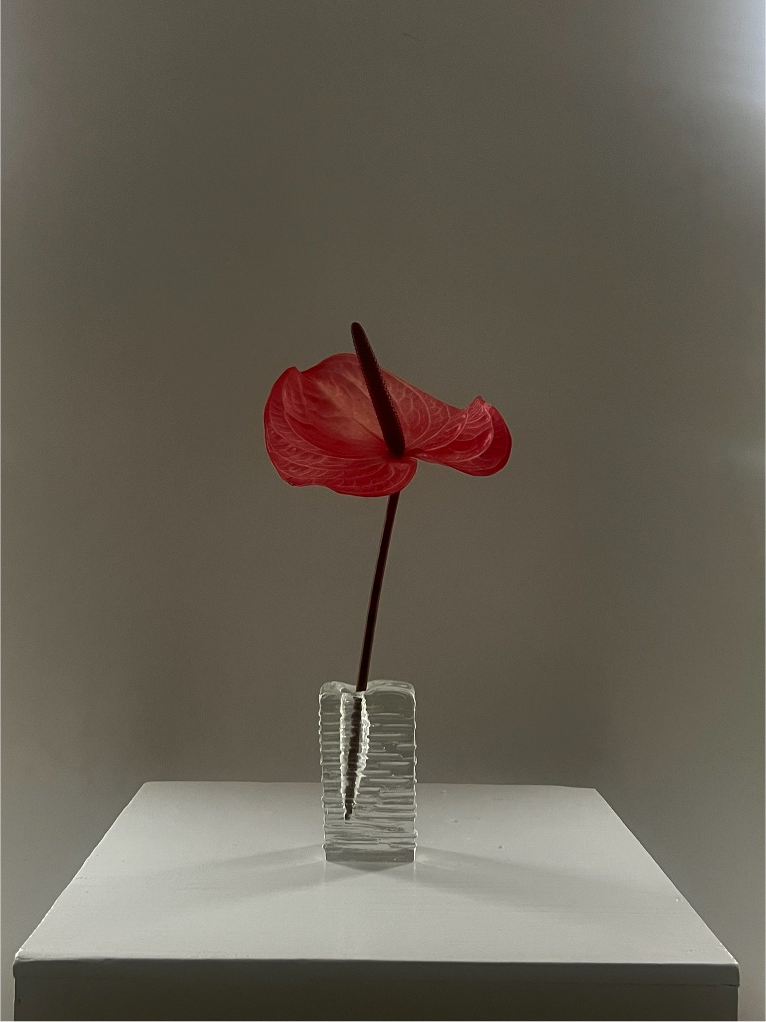 Vintage solifleur vase