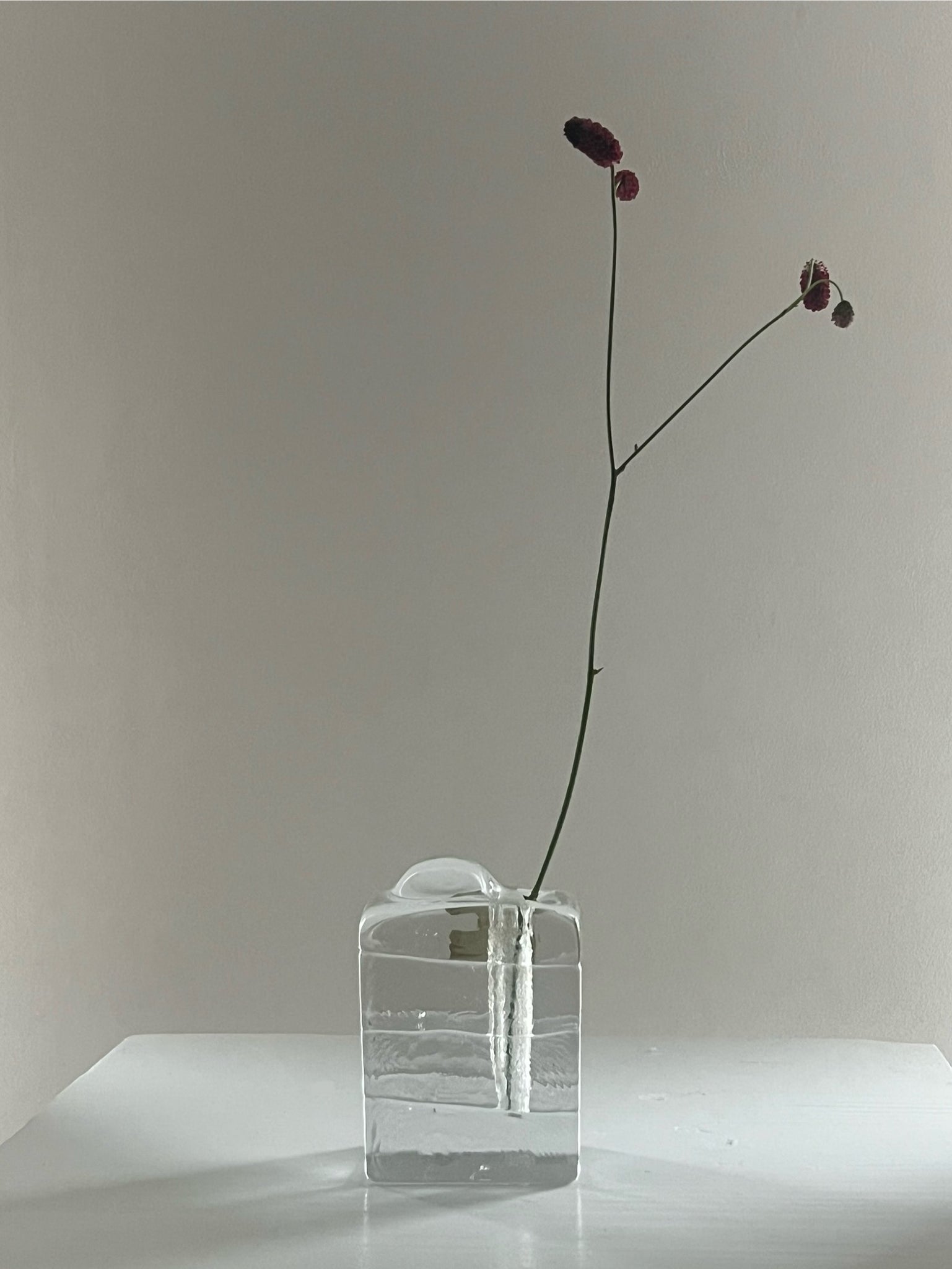 Heiner Düsterhaus crystal solifleur vase