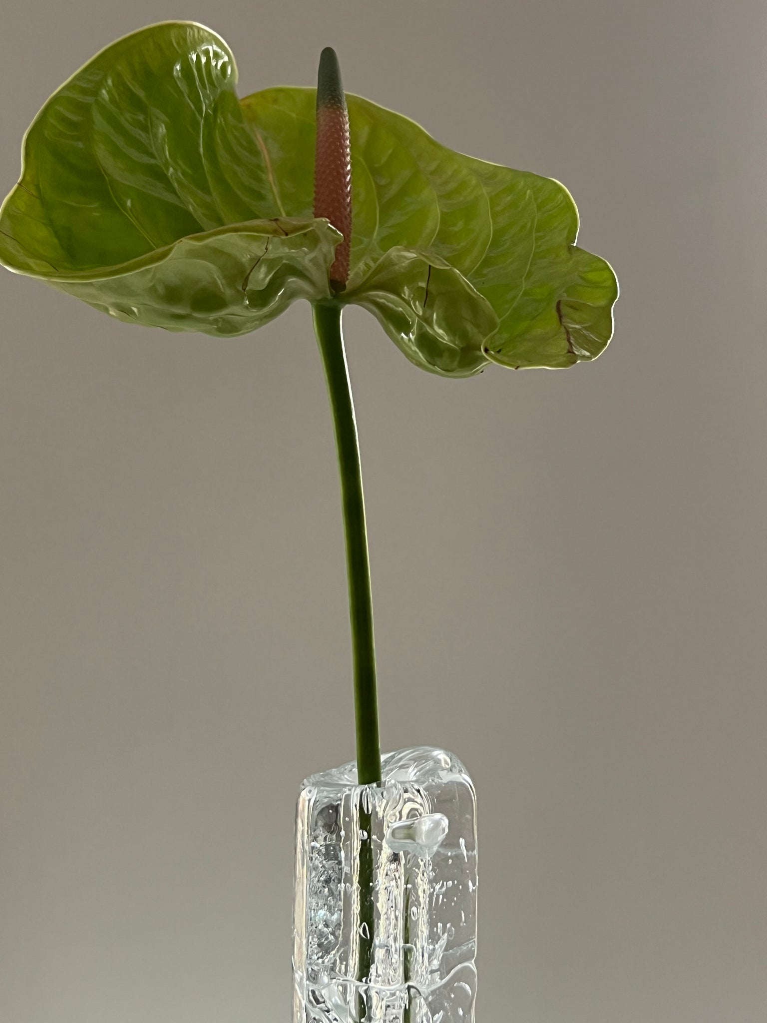 Vintage glass solifleur vase